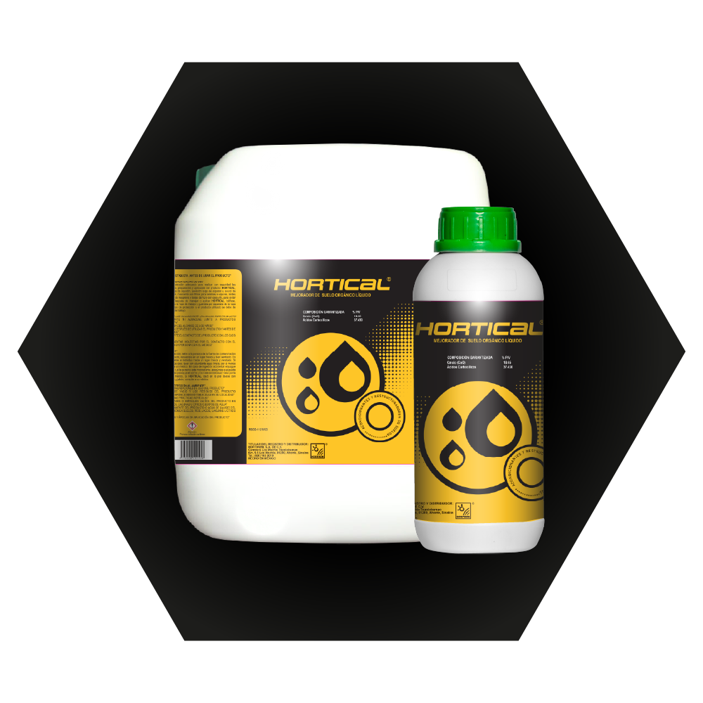 amarillos_Mesa de trabajo 1