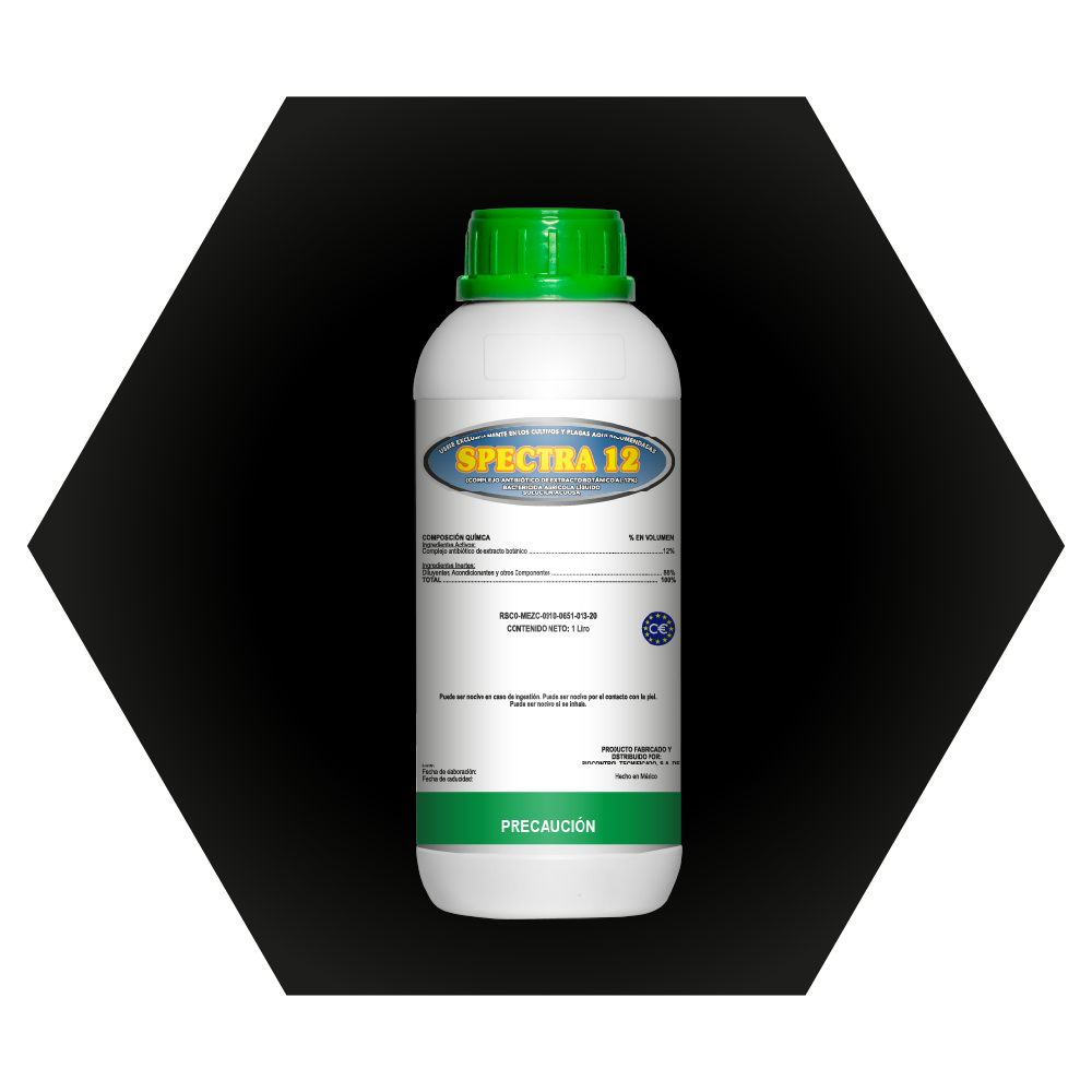 blancos_Mesa de trabajo 1