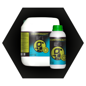 Hortiroot