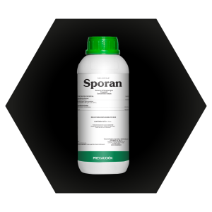 Sporan