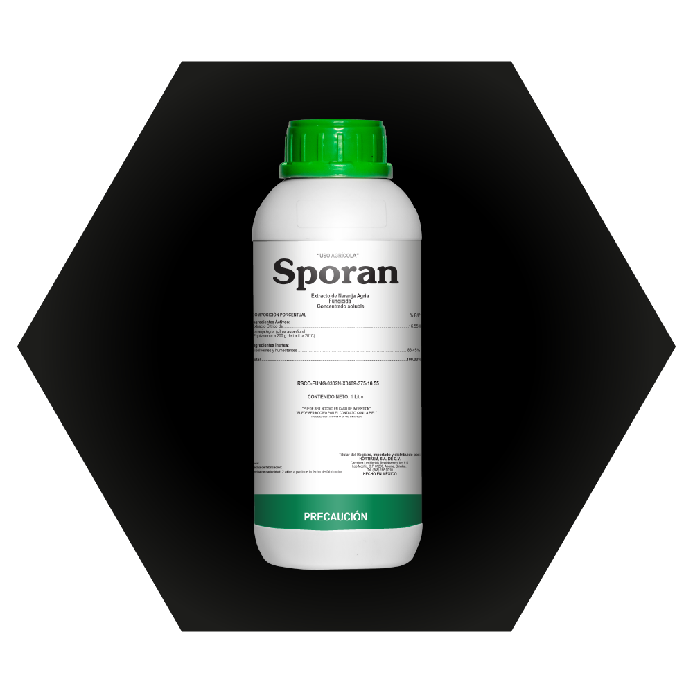 Sporan